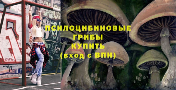 PSILOCYBIN Осташков