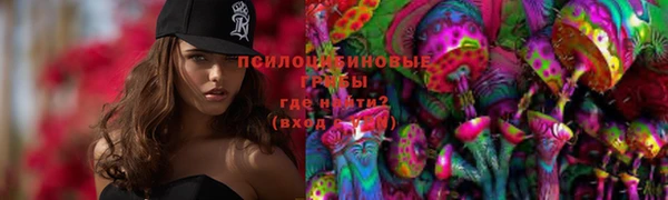 герыч Абаза