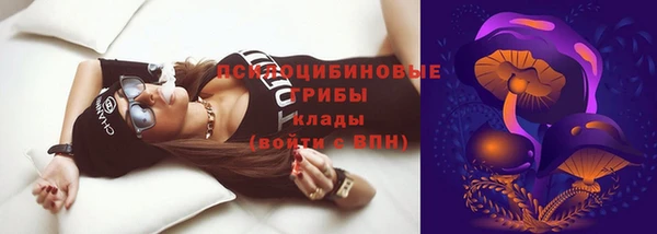 PSILOCYBIN Осташков