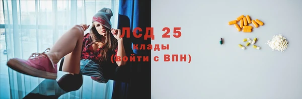 гашик Заполярный