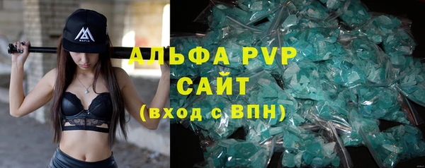 PSILOCYBIN Осташков