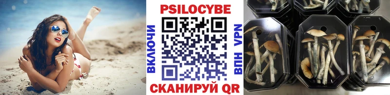 цена наркотик  Суоярви  Псилоцибиновые грибы прущие грибы 